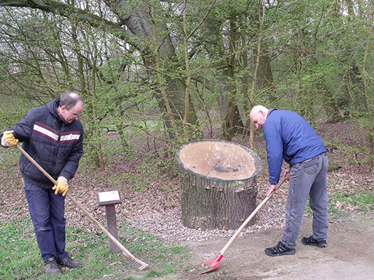 Einsetzen der Baumscheibe durch Mitarbeiter des Bürgerparkvereins